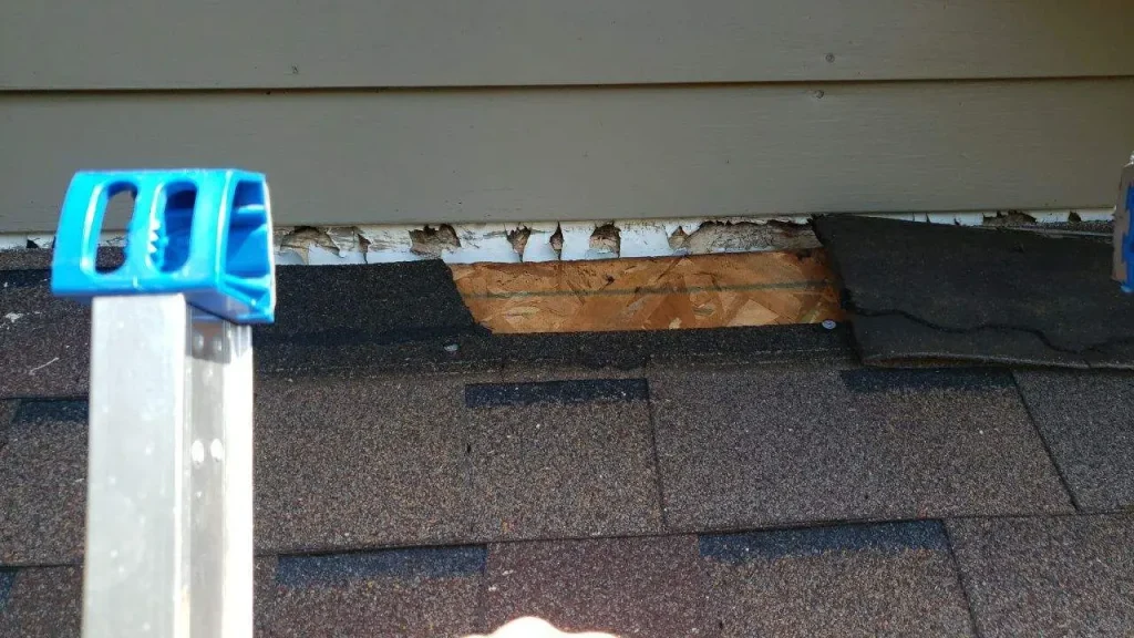 Missing shingles on asphalt roof exposing wood decking on a home in Richmond KY