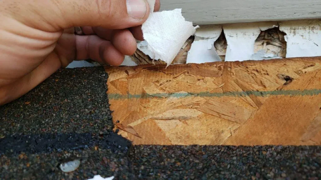 Shingle Repair in Progress on Louisville Roof Missing roof shingles exposing decking on Richmond KY home