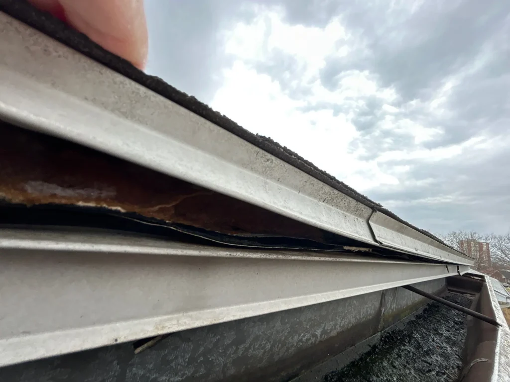 Severely rotted fascia board behind sagging gutter in Lexington KY with visible gap