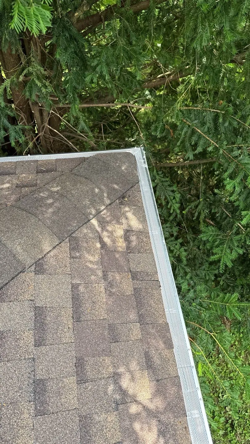 Installed mesh gutter guard along a shingle roof edge beside evergreen trees in Irvine, KY