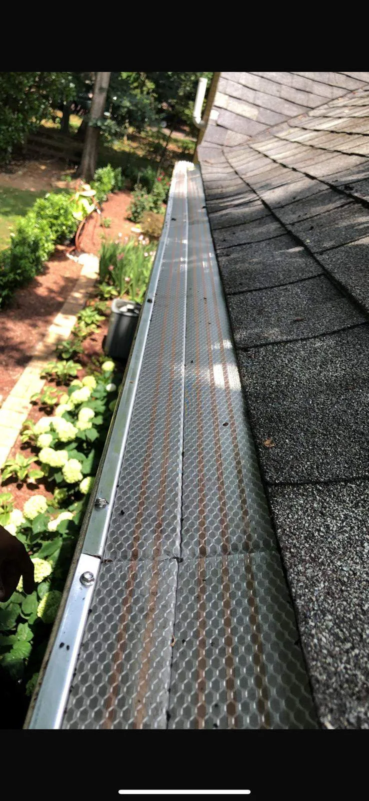 Mesh gutter guard installed along a shingle roof on a Mt. Sterling, KY home.