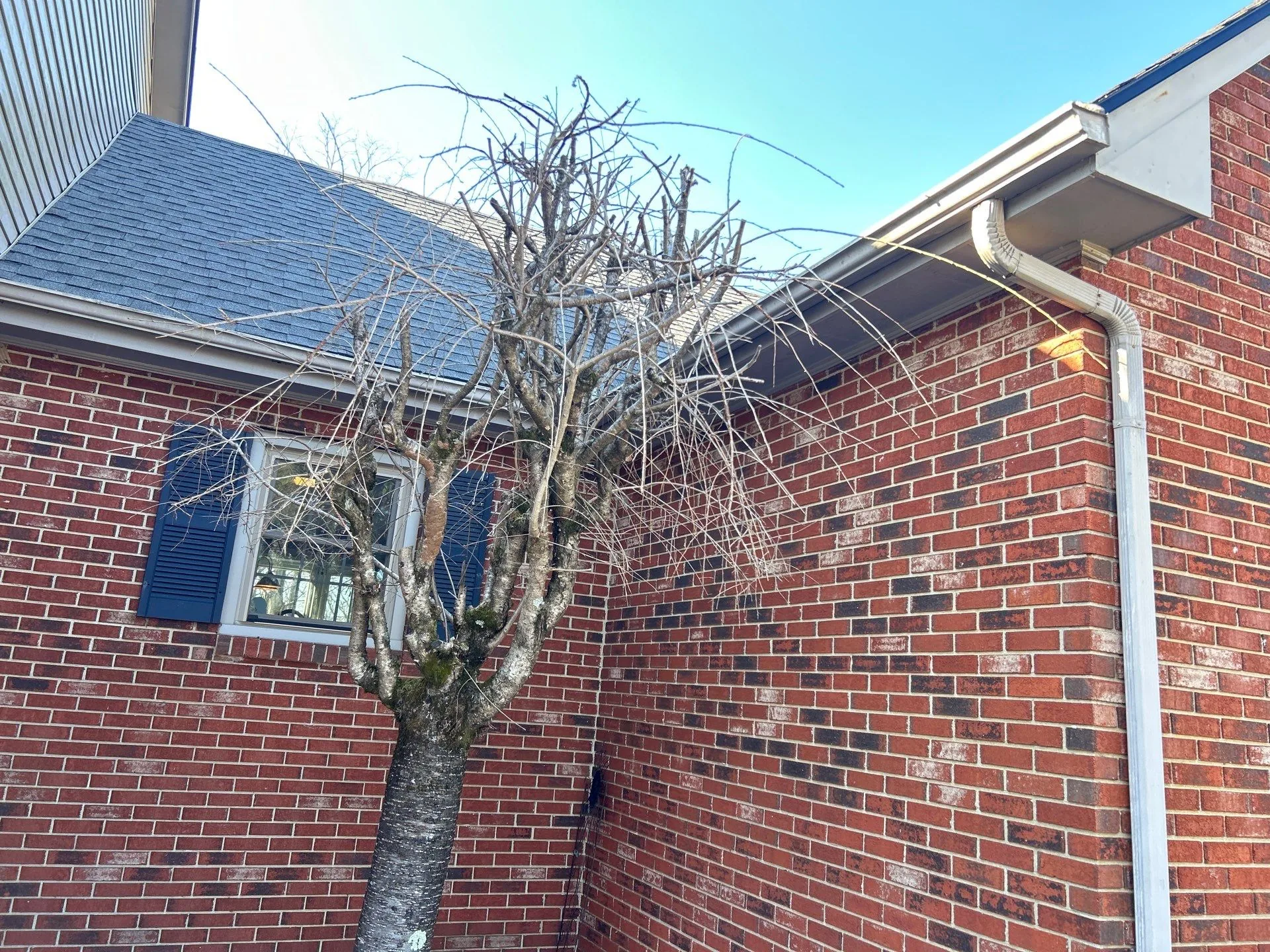 White seamless gutter and downspout on a brick home in Mt. Sterling, KY.