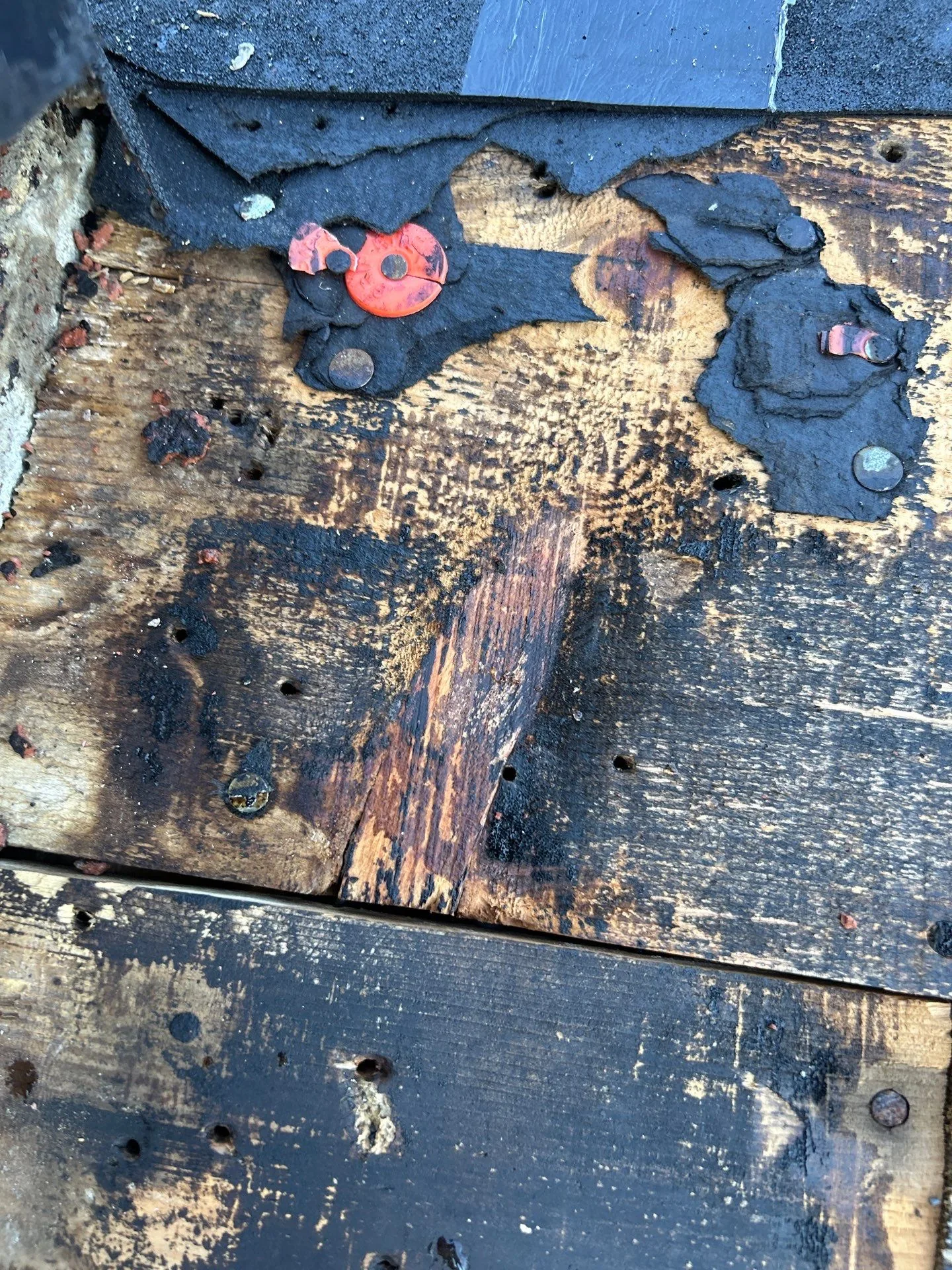 Missing shingles exposing damaged roof decking on a commercial property in Waco, KY.