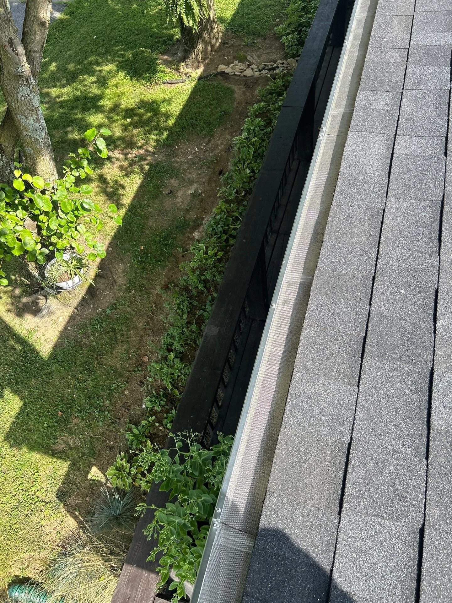 Newly installed mesh gutter guard along a shingle roof over a garden on a Waco, KY home.