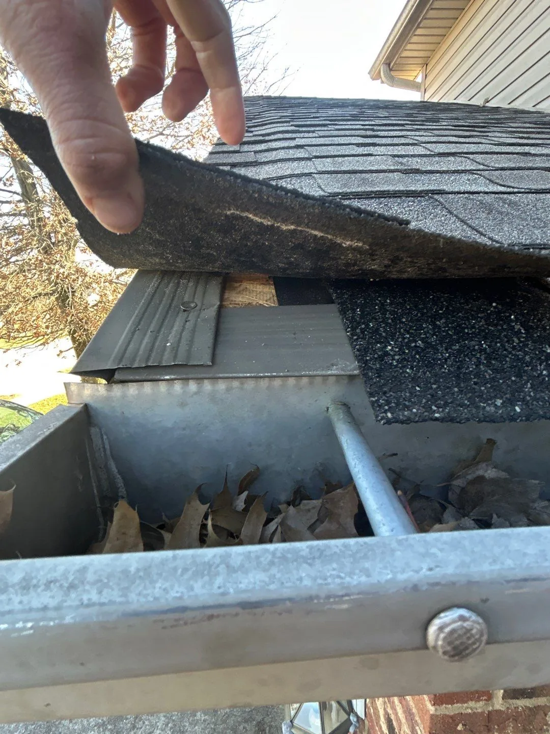 Lifted roof edge revealing a leaf-clogged gutter on a Lancaster, KY home.