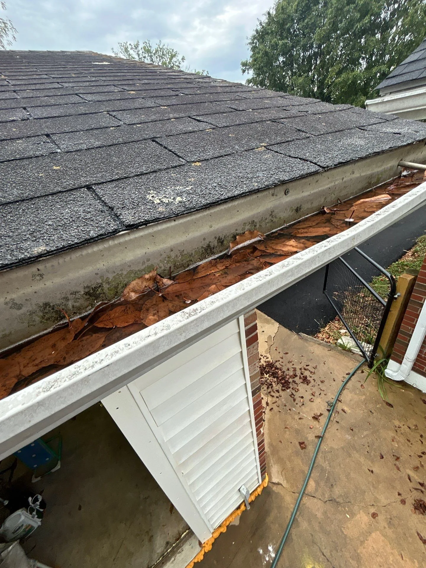 Gutter clogged with leaves and debris on a Waco, KY home.
